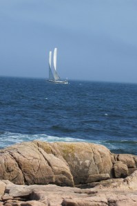 When I arrived at the ocean I saw this beauty.