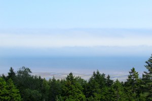 You drive through the mountains to get to Fundy National Park, this is the first glimpse of the shore.
