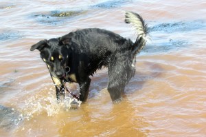 You can see how strange the color of the water is. Of course Maya didn't mind.
