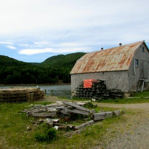 Lobster traps waiting....