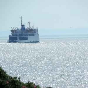The ferry finally departs.