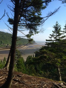 We walked a trail up a cliff overlooking the beach, it took about 20 minutes -look at the weather now!