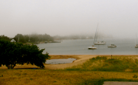 The next day the wind stopped and the fog rolled in. The harbor at Grand Marais.