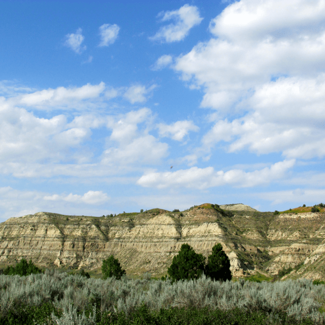 Fragrant sagebrush creates a lush foreground for the buttes.