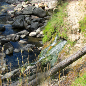 This is one of the places the hot water streams out of the earth.