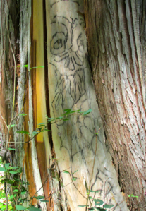 Someone took charcoal and drew a sketch on this tree trunk.