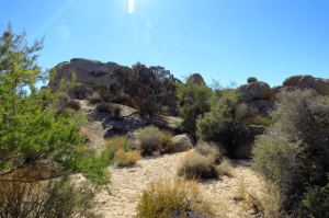 My own private rock garden.