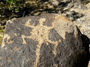 A petroglyph of a Chuckwalla in the Gila style.