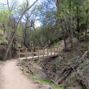 It was a pretty hike up to the cliff dwellings.