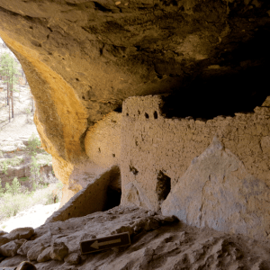 A shot of the interior.