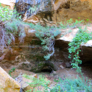 Green area in back of Long House where water is seeping in.